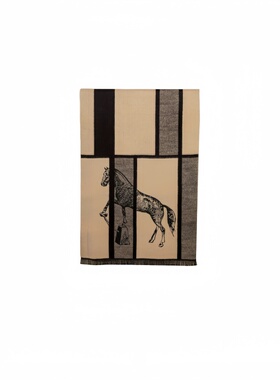 样板间男士衣帽间西装围巾装饰品