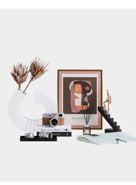 现代样板间书房书桌书柜软装摆件相机模型单反镜头售楼处摆设饰品