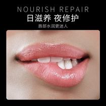 Moisturizing and moisturizing moisturizing and moisturizing Lip Gloss students Mens and womens lip film anti-dry crack and colorless bottom lip balm