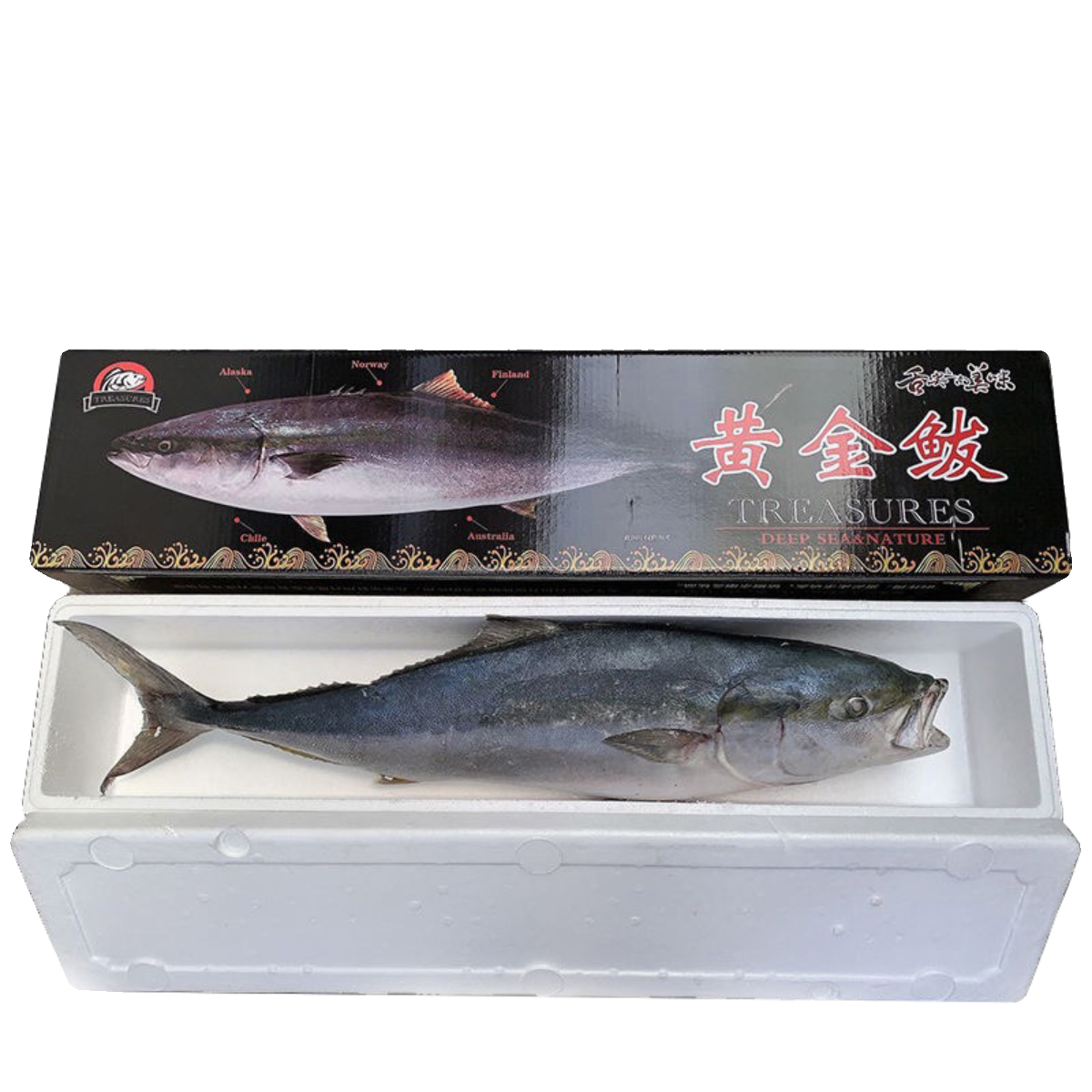 黄金大鲅鱼一整条净重深海黄尾鰤大黄金鲅鱼水饺新鲜送礼礼盒顺丰,淘宝优惠券,粉丝福利购,淘宝优惠卷
