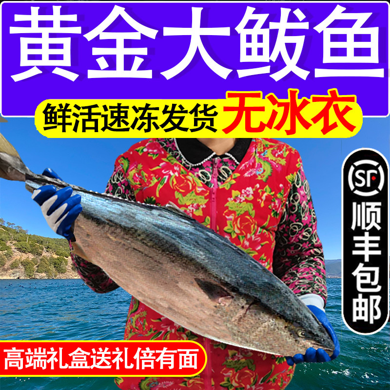 黄金大鲅鱼一整条净重深海黄尾鰤大黄金鲅鱼水饺新鲜送礼礼盒顺丰,淘宝优惠券,粉丝福利购,淘宝优惠卷