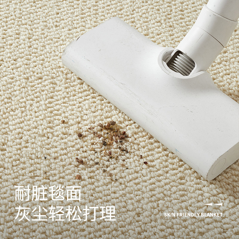Wear-resistant cat scratch-proof photography background carpet living room