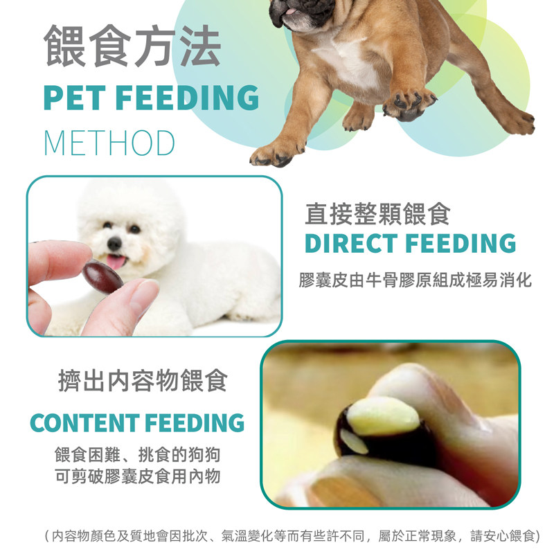 台湾虎扬Life+生命胶囊 爆毛丹甲鱼蛋猫狗术后康复孕期营养品60粒,淘宝优惠券,粉丝福利购,淘宝优惠卷