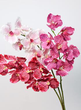 仿真花手感保湿万代兰蝴蝶兰假花