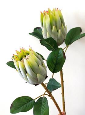 中式禅意仿真花束帝王花家居装饰