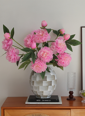 生喜朗牡丹花客厅花草花朵饱满