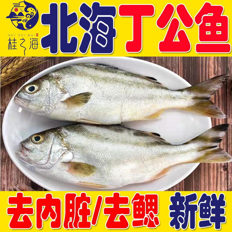 北海丁公鱼新鲜杀好深海鱼去鳞鳃去内脏冰鲜免处理特大三线海鲈鱼,淘宝优惠券,粉丝福利购,淘宝优惠卷