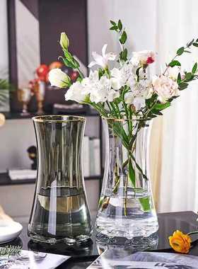 简约透明玻璃描金花瓶水养鲜花百合北欧创意网红客厅插花玻璃花瓶