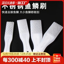 Fish scale planing scalemaker Home Go to the fish scale Scraping The Fish Scale Deity Fish Scale Brush the fisher Scalemaker Descaler Scraping the fish scale