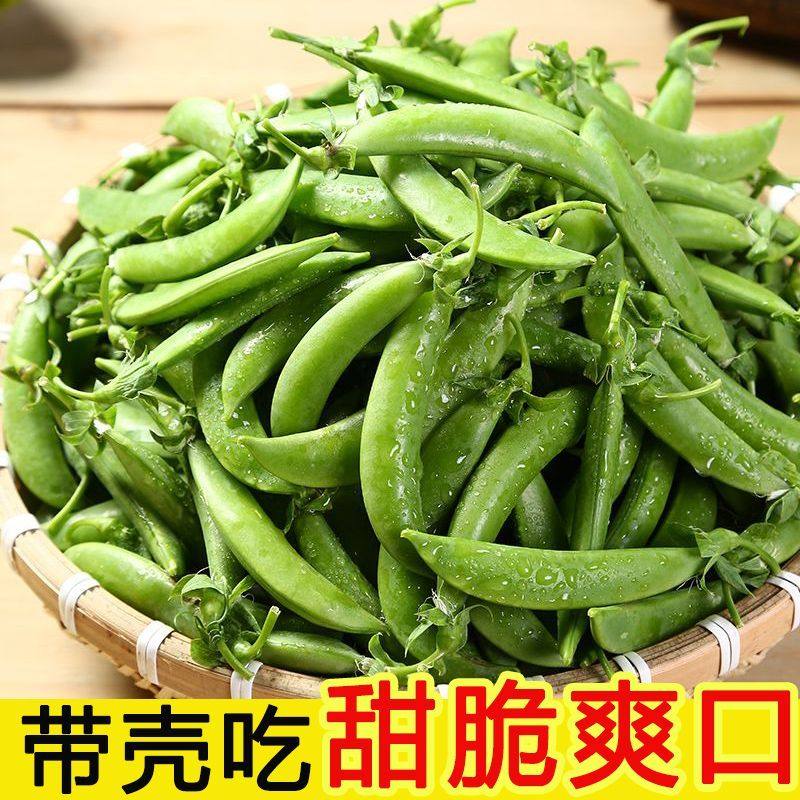 云南新鲜甜豆 现摘现发农家自家种脆甜鲜嫩荷兰豆碗豆蔬菜5斤包邮,淘宝优惠券,粉丝福利购,淘宝优惠卷