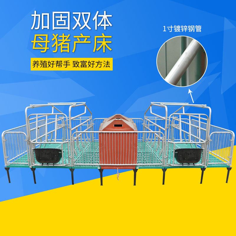 养猪场小型单个母猪产床 欧洲母猪产床 猪产床尺寸