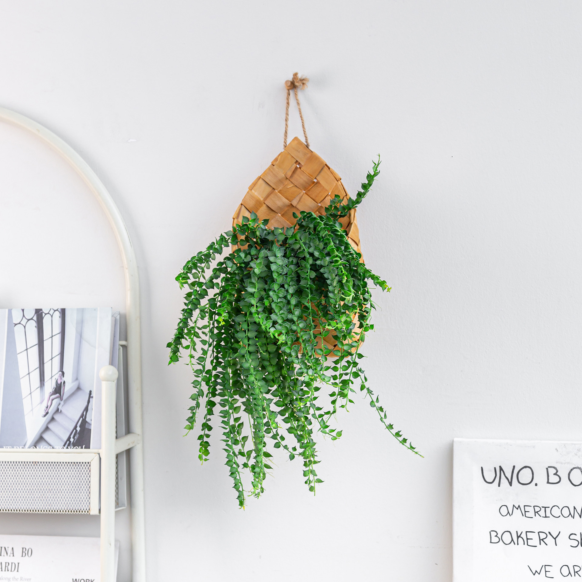 垂吊系列|室内墙壁挂壁绿植盆栽金边翡翠常春藤垂吊植物搭配吊兰,淘宝优惠券,粉丝福利购,淘宝优惠卷