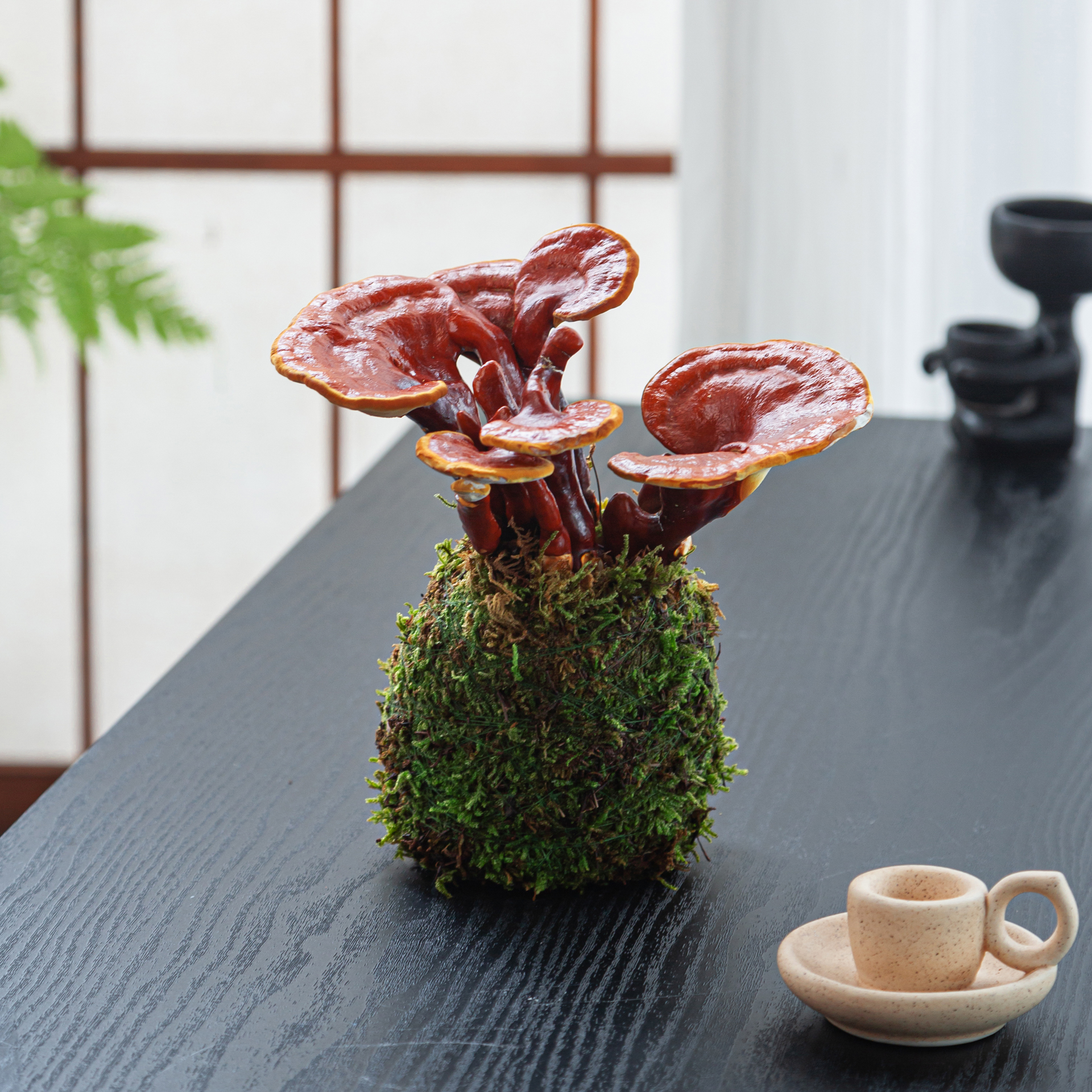 水培灵芝盆栽苔藓球绿植物办公室内茶室桌面小盆景创意摆件好养花 - 图3