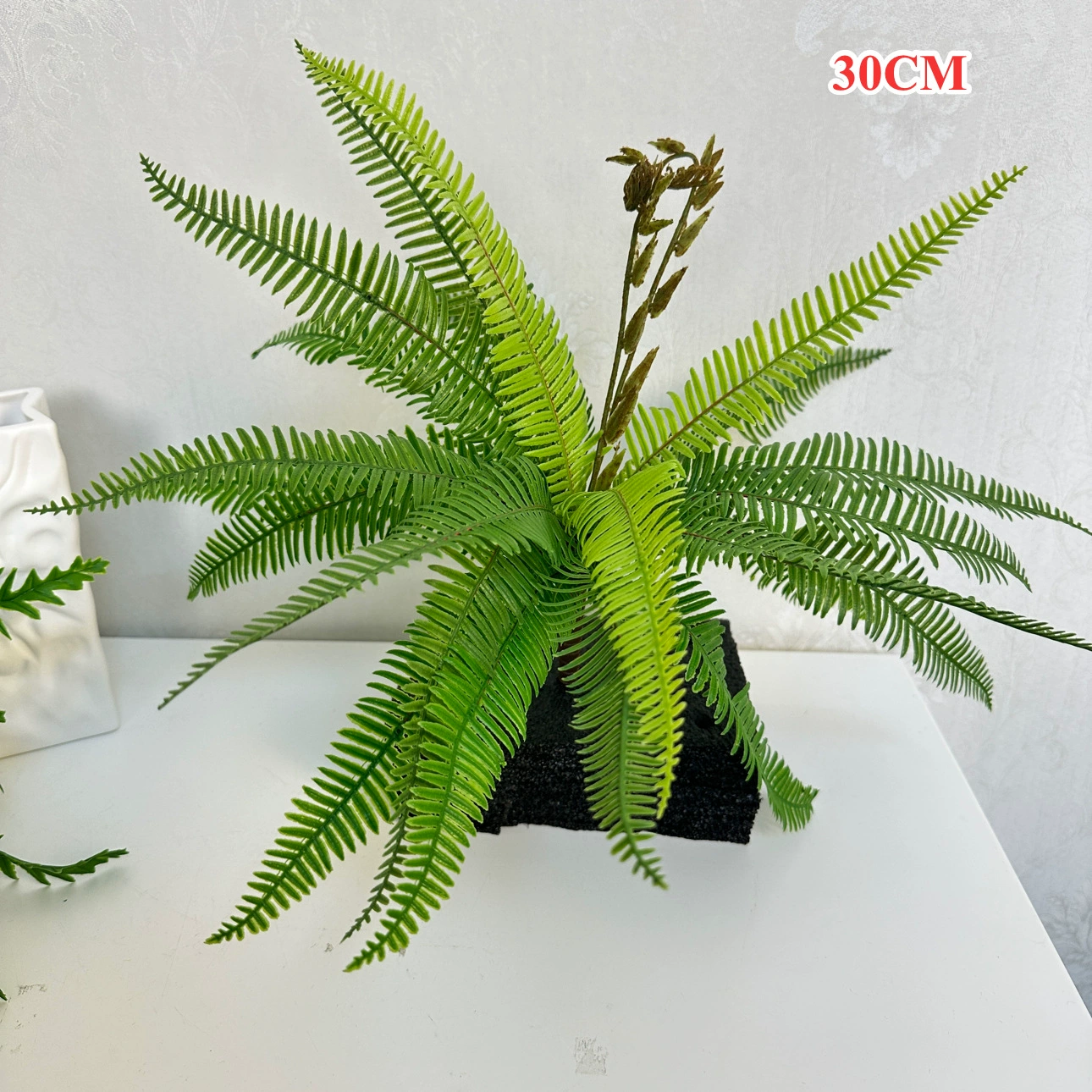 蕨类造景植物高仿真肾蕨蕨草手感软胶空间装饰植物墙拍摄道具配草,淘宝优惠券,粉丝福利购,淘宝优惠卷