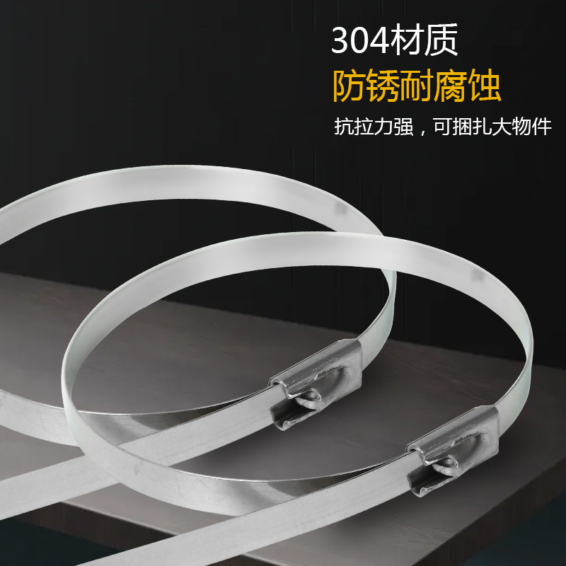 自锁式304不锈钢扎带10条装4.6mm钢丝盘带金属铁扎丝抗风化拉紧器-图0