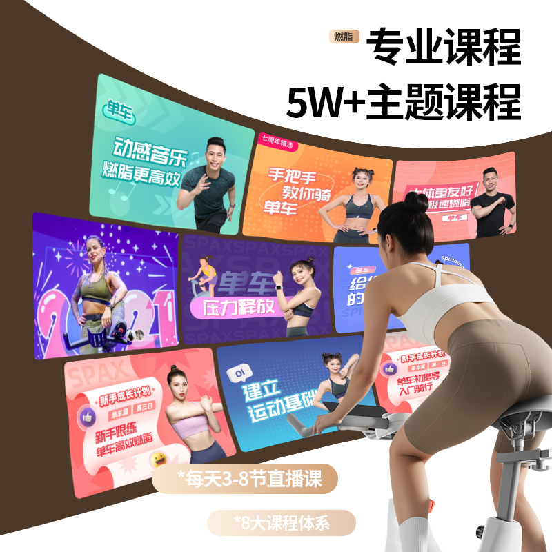 Intelligent Magnetic Peak/Peak Spinning Bike