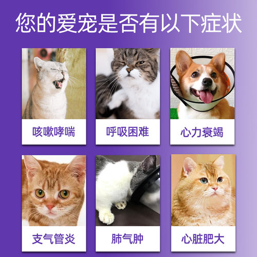 宠物猫咪狗狗心脏肥大咳嗽气喘扩张气管药止咳平喘肺心康氨茶碱片 - 图1