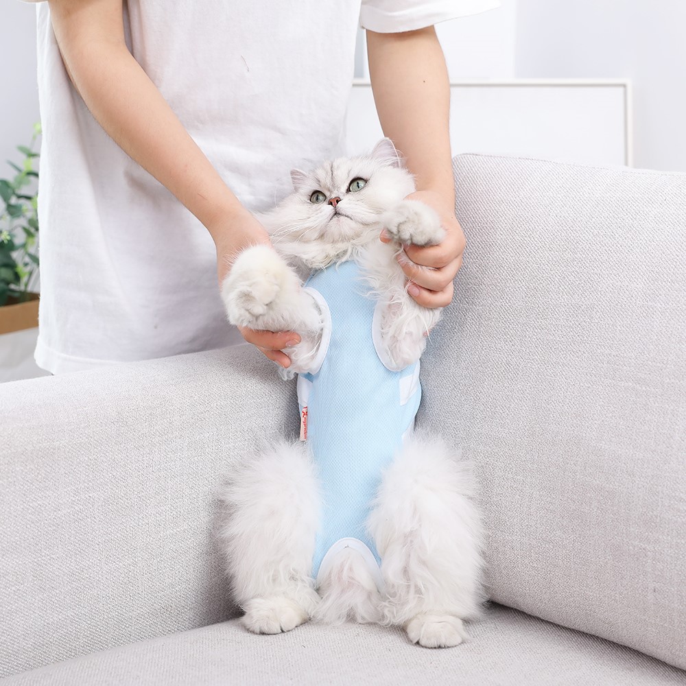 猫咪手术服母猫绝育衣服包肚衣断奶公猫防舔术后猫猫绝育服防护服 - 图3