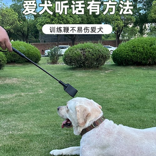 狗打棒打狗棒教育棒爱心拍打狗棍训狗拍训犬器材训狗神器惩罚鞭子-图3