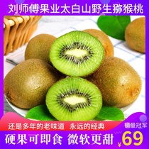 Taibai Mountain Wild Chic Exotic Fruits Green Heart Bouquets Big Fruit Whole Boxes Pregnant Women Nutritional Fruits Non-Xu Incense
