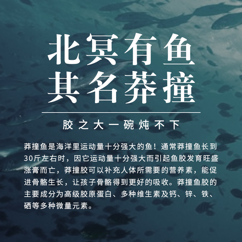 【特级莽撞胶礼盒装】顺口堂即食花胶滋补营养孕妇青少年生长补钙