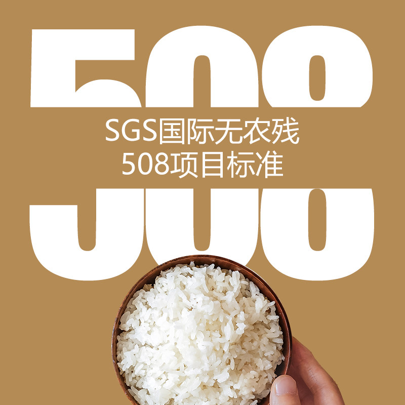 【玉珠+玉妃350g*两盒】当季新米新疆大米胚芽米羊脂籽米真空包装