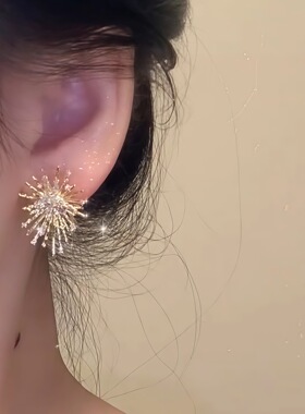 S925纯银针锆石烟花耳钉女轻奢高级感耳环小众设计感气质百搭耳饰