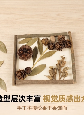 手工松果干果贴面墙面装饰礼物