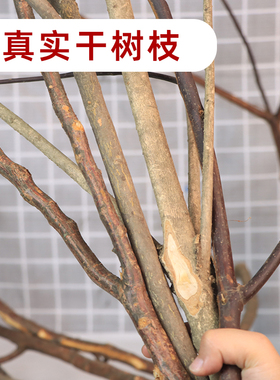 干树枝造型摆件创意手工装饰品