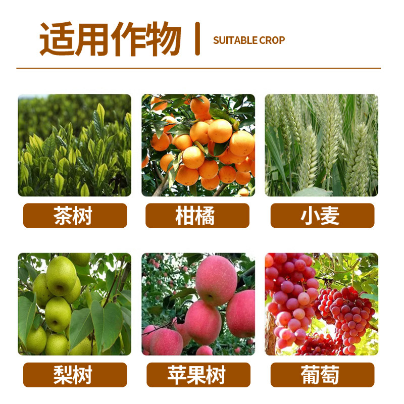 石硫合剂水剂红蜘蛛介壳虫白粉病果树清园农药原液杀虫杀菌杀螨琉