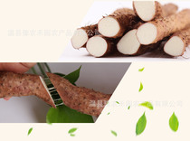 Henan Jiao Zuowen County Iron Stick Yam Iron Stick Yam Gift Box Clay Chinese Yam Non-Huaiyyam Agricultural Products Special Produce