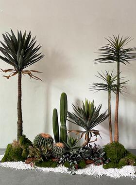 热带植物仿真假绿植仙人掌造景沙漠风楼梯下角落景观露营风装饰摆