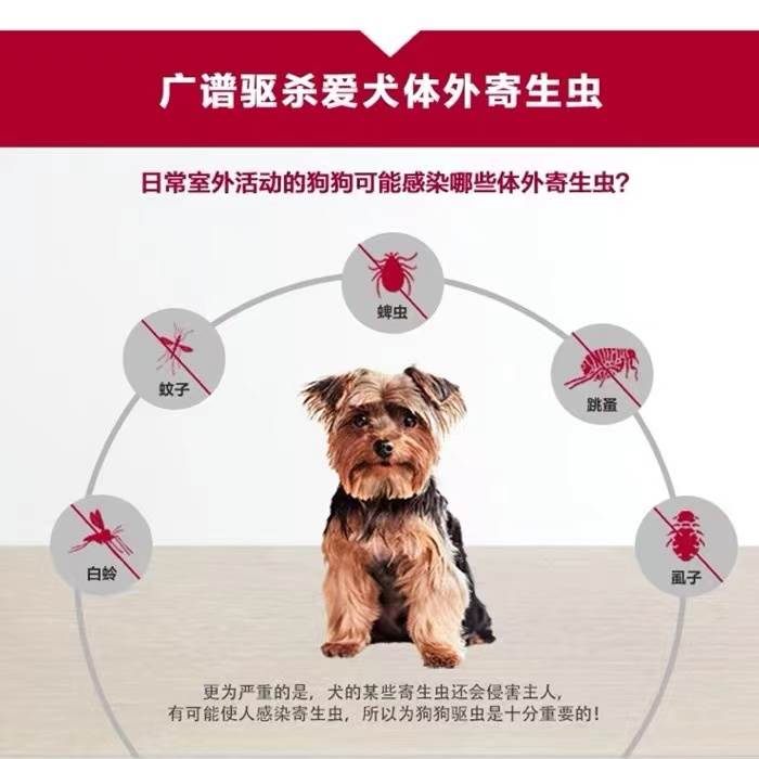 拜宠爽狗狗体外驱虫药滴剂犬用蜱虫除跳蚤驱蚊小中大型犬 - 图0