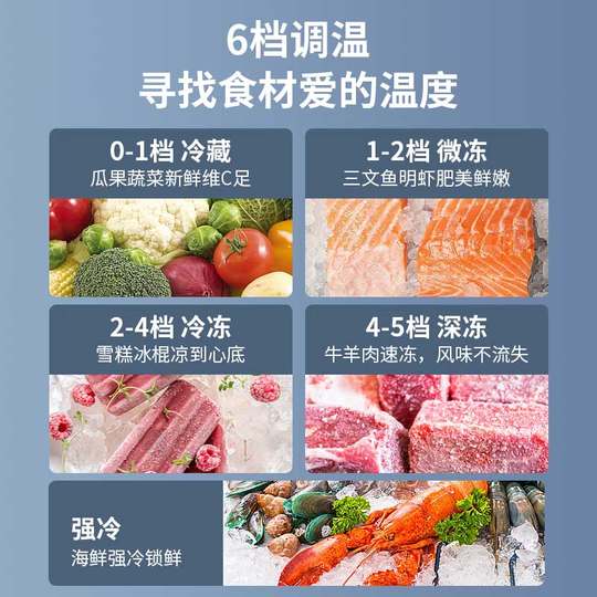 Copper tube frost-free丨Royalstar commercial large-capacity freezer