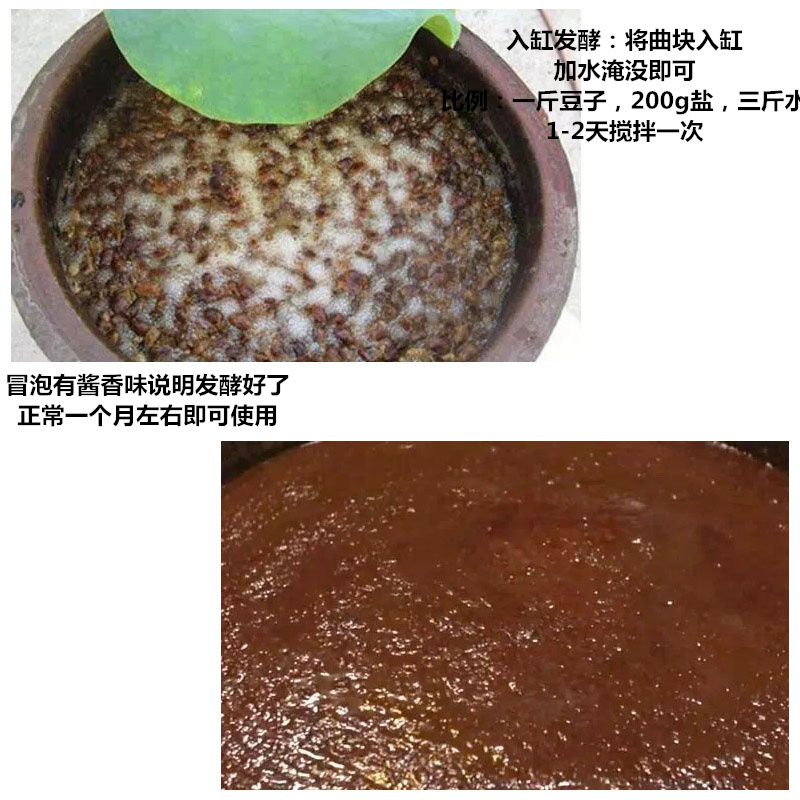 米曲霉菌东北大酱发酵菌黄豆酱酱油发酵曲做酱油的发酵菌米曲-图2