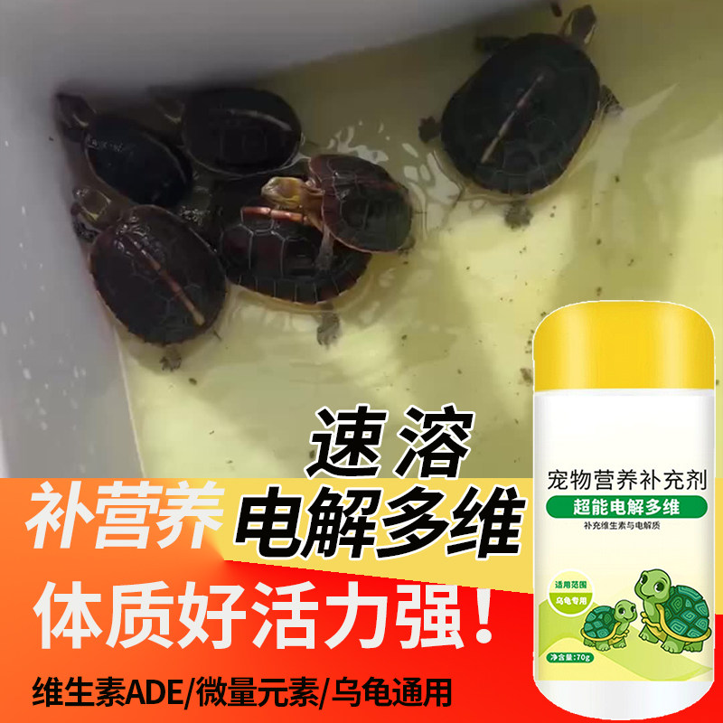 乌龟电解多维营养补充剂专用维生素增强体质促进消化营养补充剂,淘宝优惠券,粉丝福利购,淘宝优惠卷