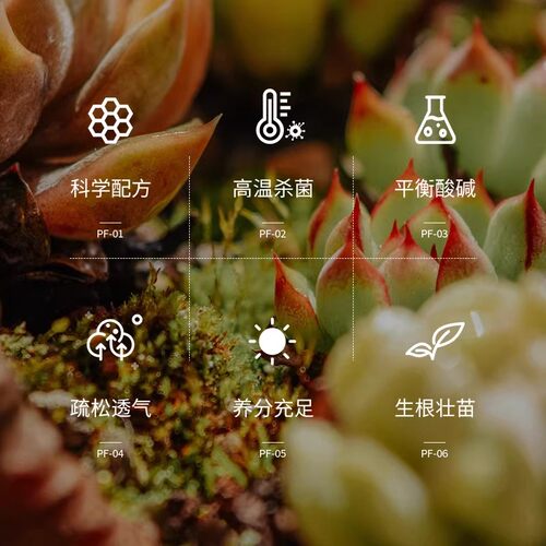 多肉专用颗粒土营养土多肉种植土壤花土盆栽思威博颗粒铺面麦饭石 - 图1