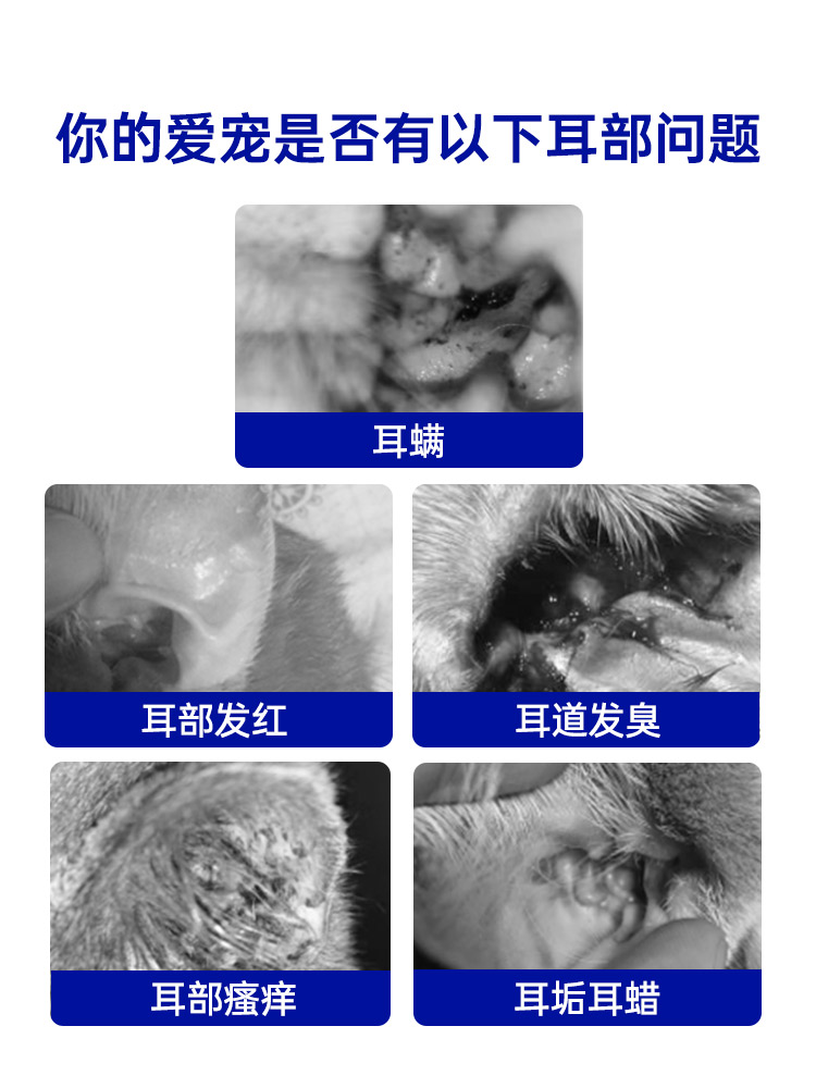 瑞德医生耳净猫咪洗耳液狗狗耳朵清洁除耳螨宠物洁耳中耳炎滴耳液 - 图1