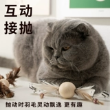 Petsville Piece Mancive Cat Stick Маленькие сказочные игрушки для игрушек лысые жиры, движущие