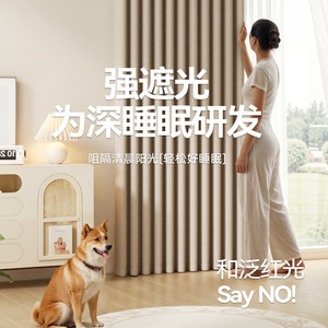 金蝉全遮光防晒窗帘隔热免打孔窗帘成品2024年新款抗菌卧室