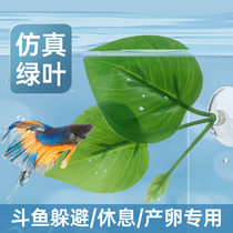 Bucket Fish Rest Shelter From Leafy Spawning Leaves Emulation Aqua Grass Green Decorative Leaves Dodging Sleeping Bed Fish Tank Building Supplies