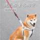 ສາຍ Leash ຫມາ harness ປັບ leash ຫມາ