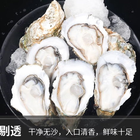 湛江生蚝鲜活5斤顺丰包邮特大蚝【10斤装拍2件】新鲜海鲜带壳保活-图3