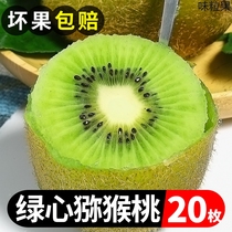 Green Heart Exotic Fruits 20 Pregnant Women Fruits Fresh to the Season Full Box Kiwifruit Authentic to Grand Amateo