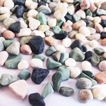 New Pint Natural Pebble Colored Vat Made with Skull Decoration B Fish Stone Multi-Meat Bonsai Potted white stone Colored Stones