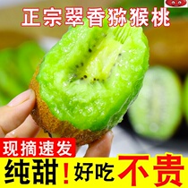 Authentic Shaanxi Zhou to Cuicange Exotic Fruits Fresh Fruit Pregnant Woman to be Season Full Box Gift Box of the Peach Green Heart