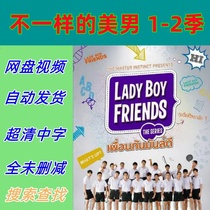 A Different Beauty Season 1-2 Complete Episodes 2015 Thai Drama TV Series Promotional Posters Chinese Subtitles High Definition