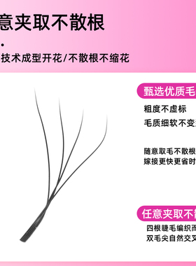 四叶草嫁接睫毛开花睫毛三叶草升级版睫毛超软自然青睫亮丽眼睫毛