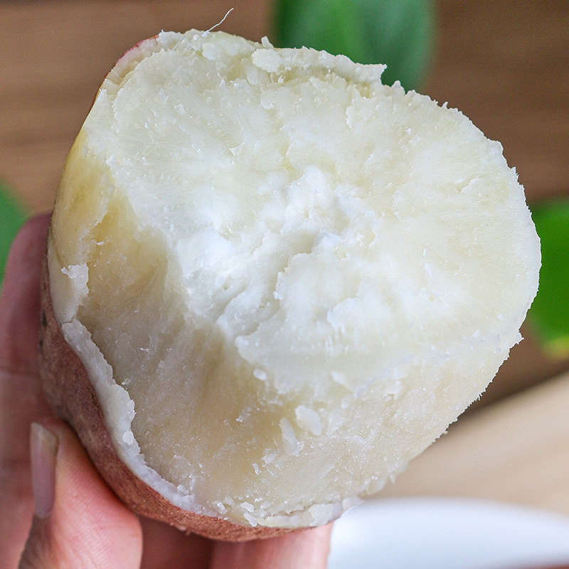 白心9斤新鲜板栗薯白瓤包邮10红苕 沃柠番薯