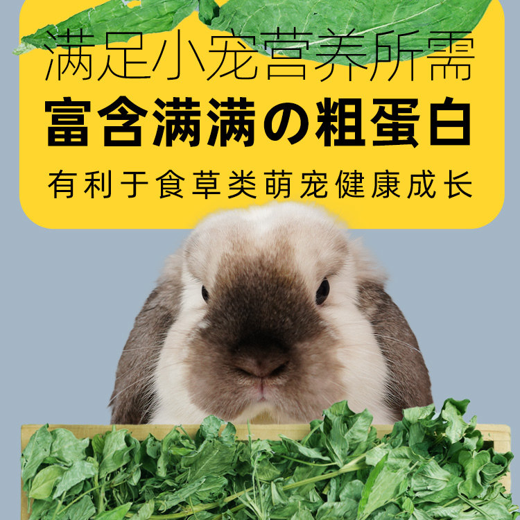 兔子专用烘干牧草花生草叶宠物龙猫荷兰猪豚鼠饲料食用草补充营养,淘宝优惠券,粉丝福利购,淘宝优惠卷